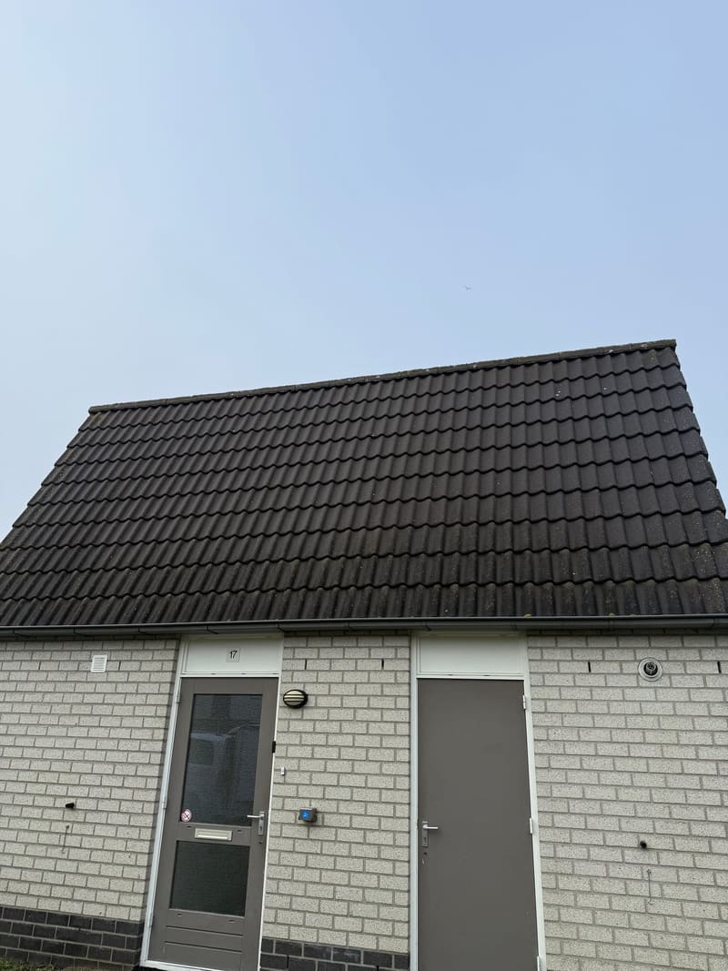 Dakreiniging na reiniging
