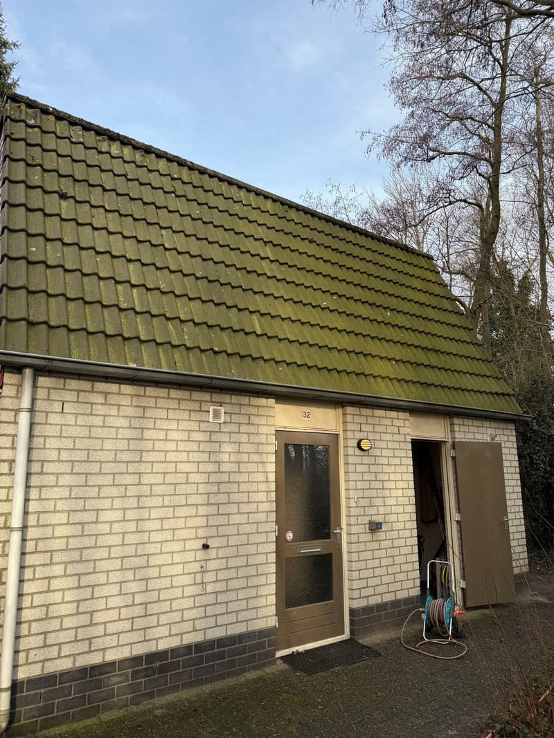 Dakreiniging voor reiniging