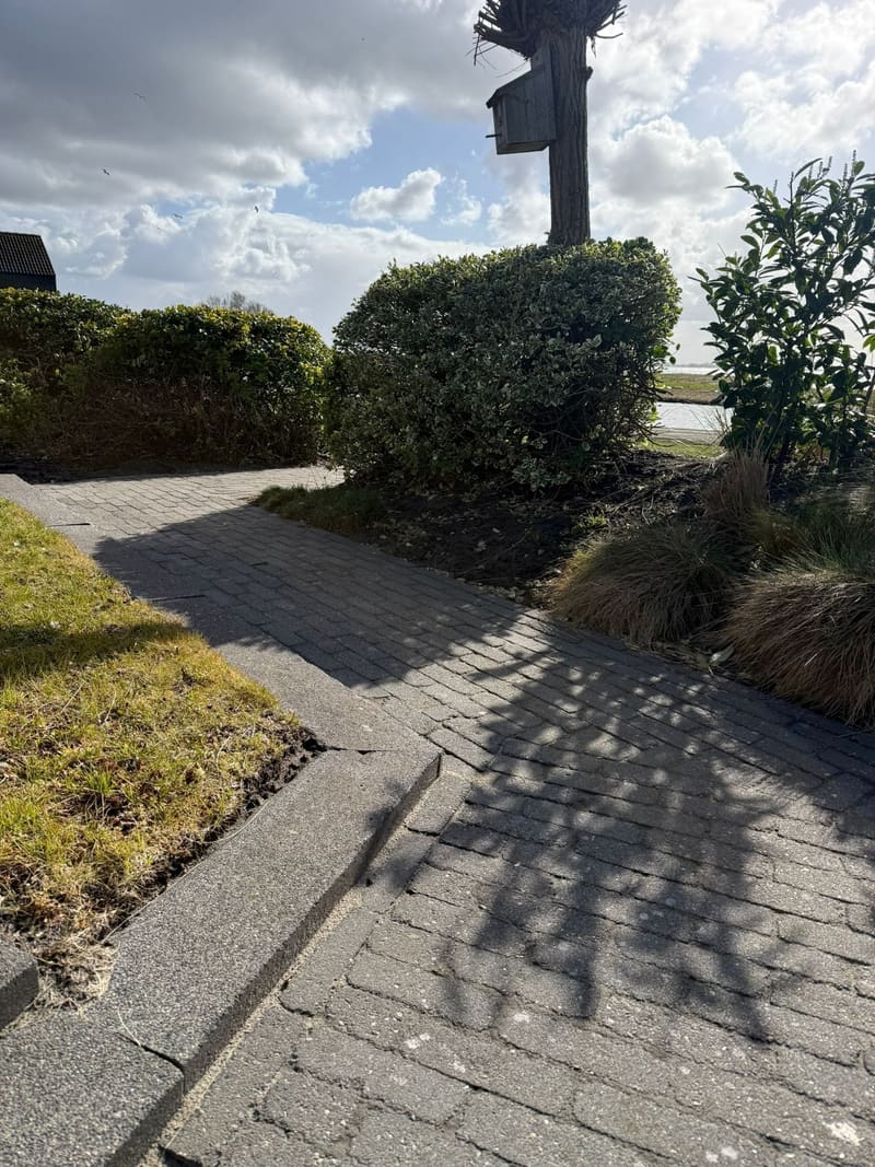 Terrasreiniging na reiniging