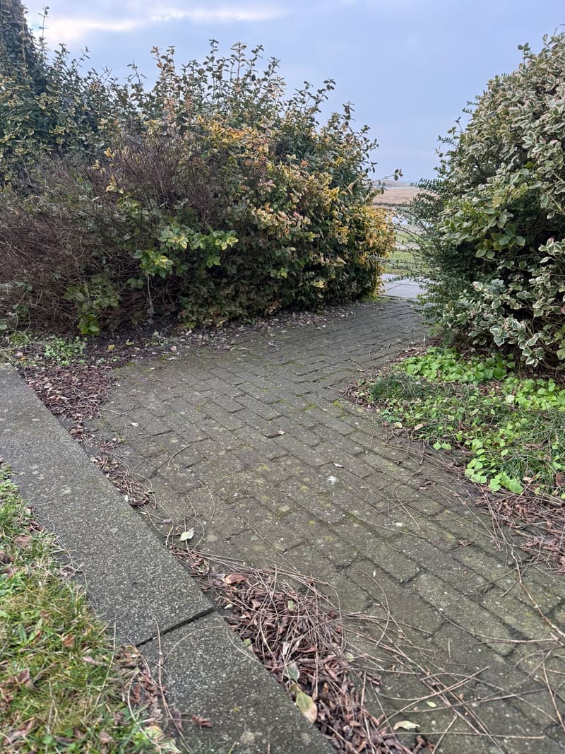 Terrasreiniging voor reiniging
