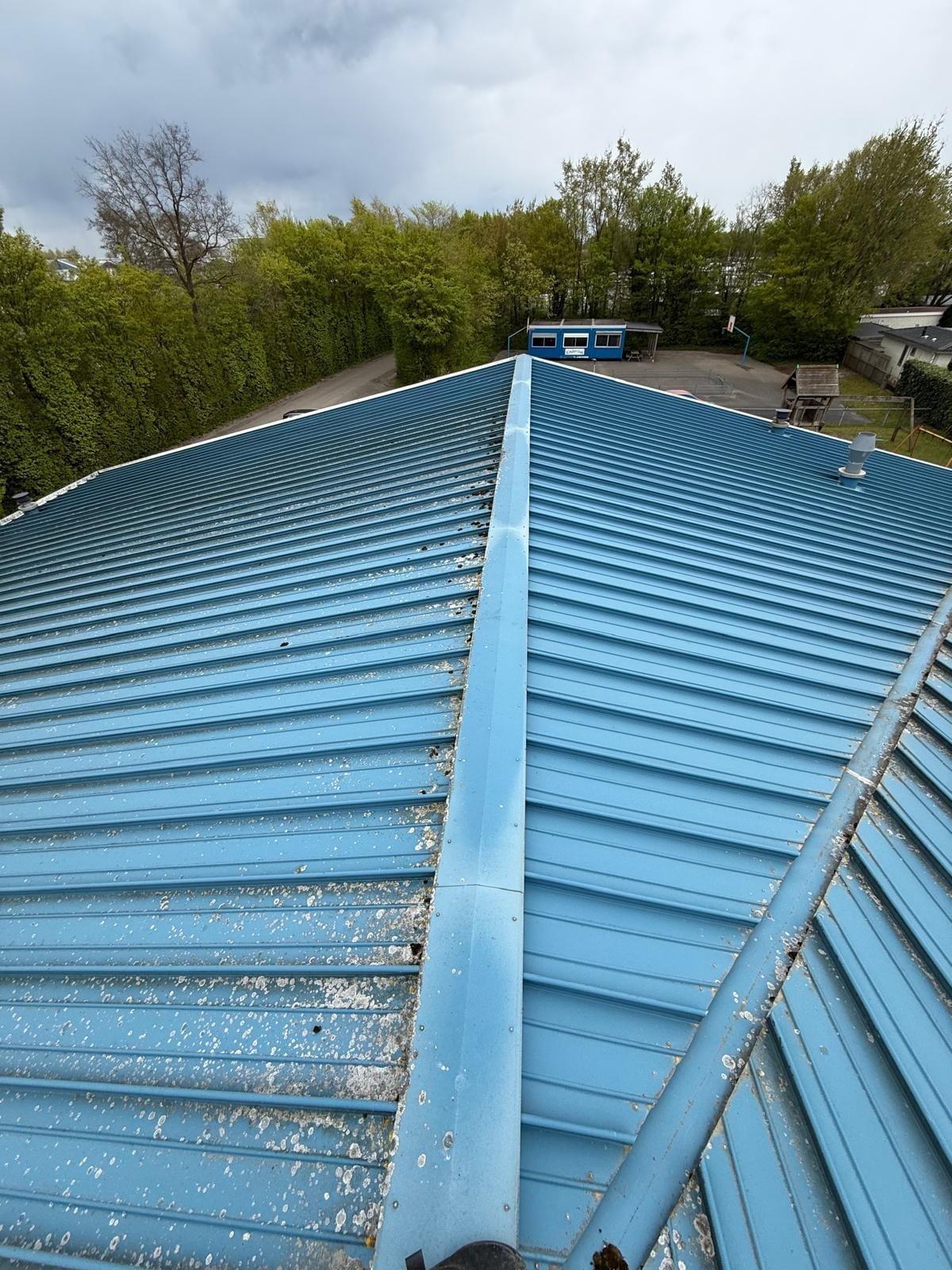 1800 m² dak Veluwe Strandbad voor reiniging